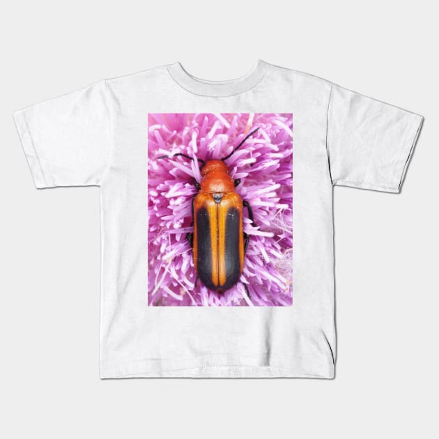 Blister beetle in Florida, identified as Nemognatha piazata Kids T-Shirt by SDym Photography